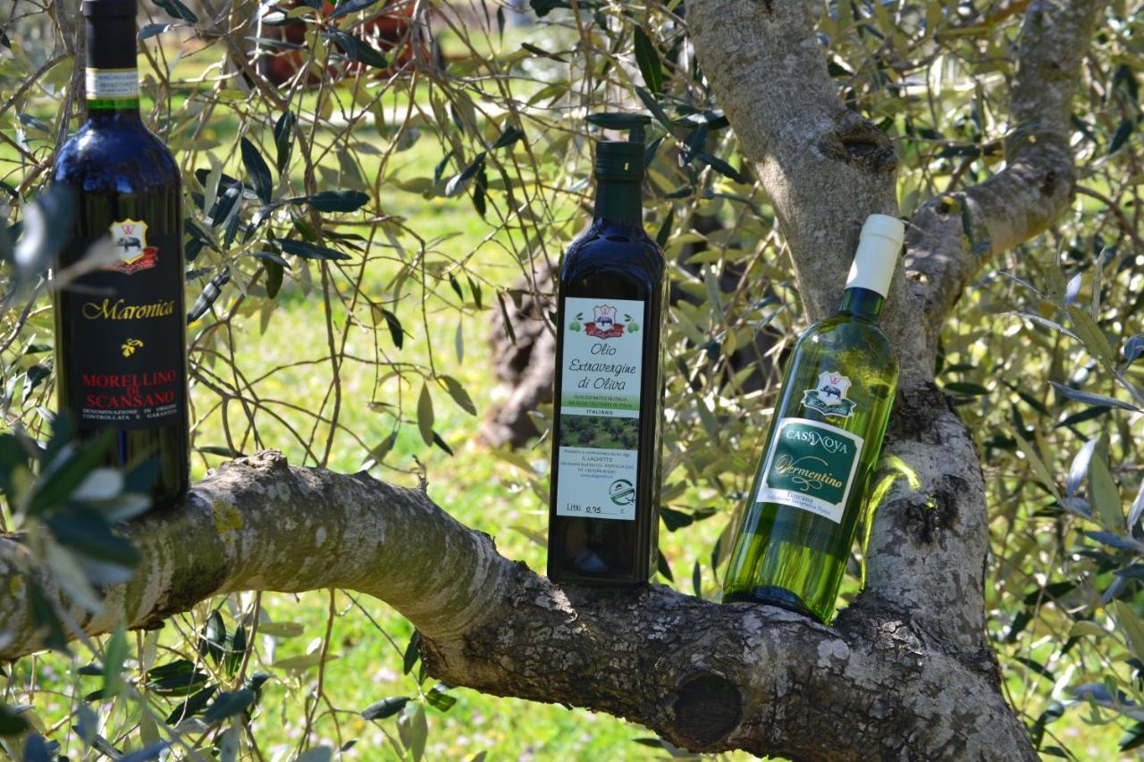 Agriturismo Il Laghetto غروسيتو المظهر الخارجي الصورة