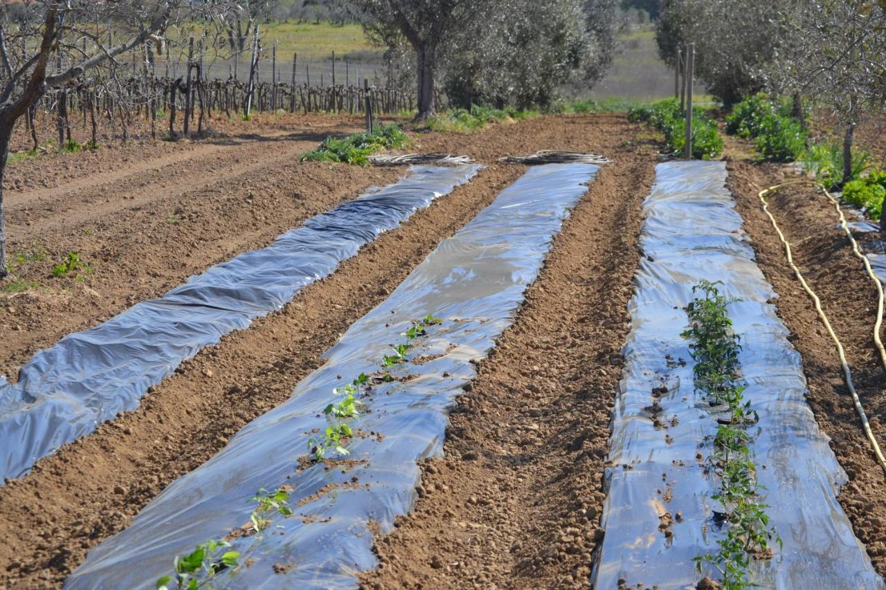 Agriturismo Il Laghetto غروسيتو المظهر الخارجي الصورة