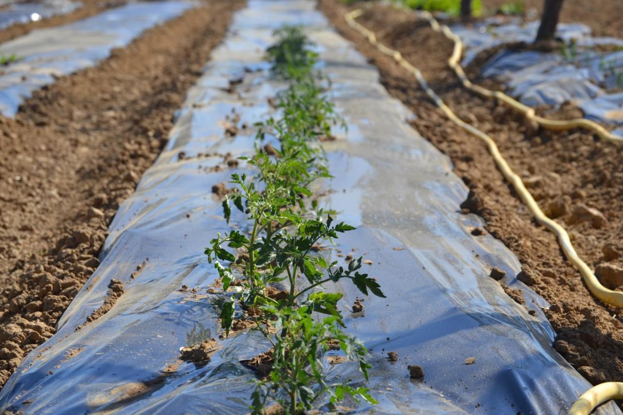 Agriturismo Il Laghetto غروسيتو المظهر الخارجي الصورة