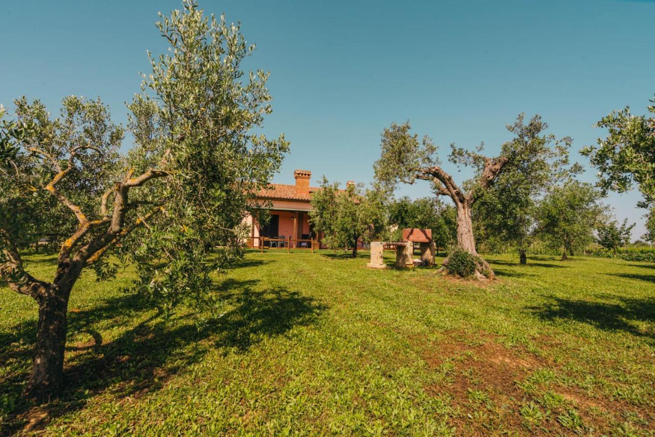 Agriturismo Il Laghetto غروسيتو المظهر الخارجي الصورة