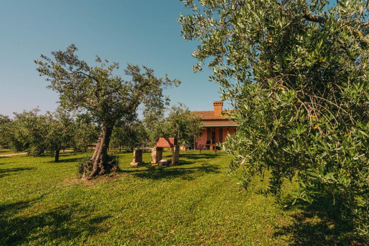 Agriturismo Il Laghetto غروسيتو المظهر الخارجي الصورة